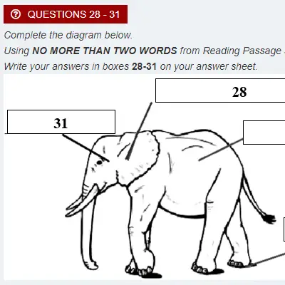 IELTS Reading Forecast 13
