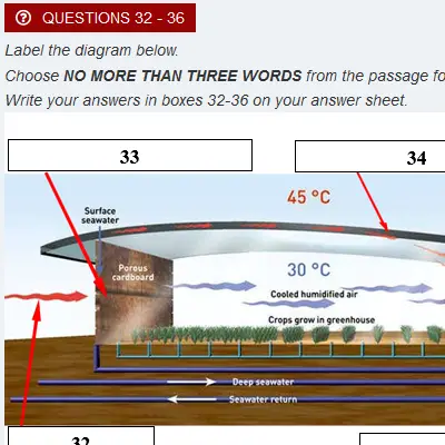 Mock Test 19.3 | Academic Reading